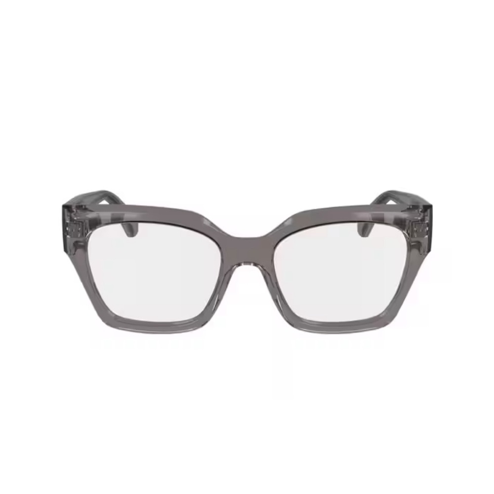 Salvatore Ferragamo Clear Mauve Women's Glasses